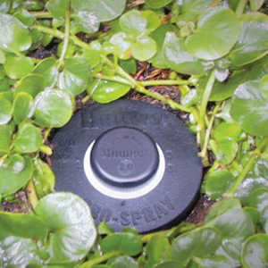 Форсунка Hunter Bubbler PCN-50