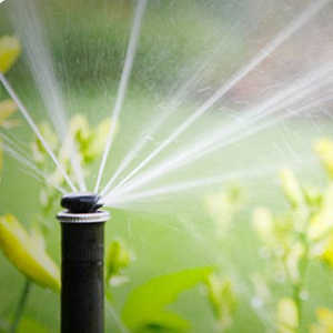 Форсунка Hunter MP ROTATOR MP2000360