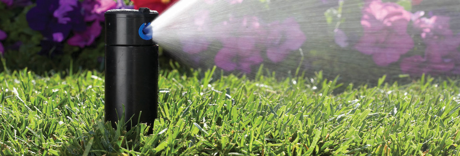 Купить авто полив